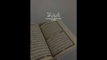 القرآن الکریم..سورة التغابن..بصوت القارئ رعد الکردي #القرآن_الكريم #رعد_الكردي 💚🥀