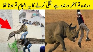 Jungle Darinday Ko Ungle Kernay Ka Anjam | When Animals Got Angry On Humans