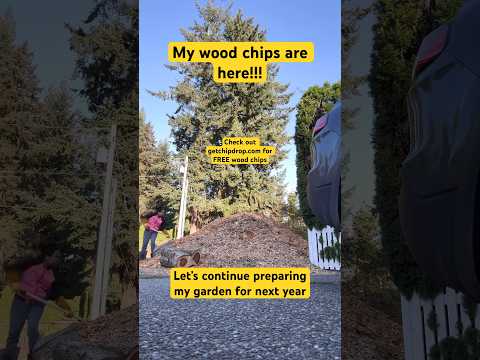 Took A Much Needed Rest And Here I Am Again Tackling Another Mountain Literally Gardenprep