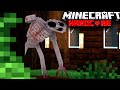 Minecraft's SCARIEST Mod Returns.. The One Who Watches thumbnail