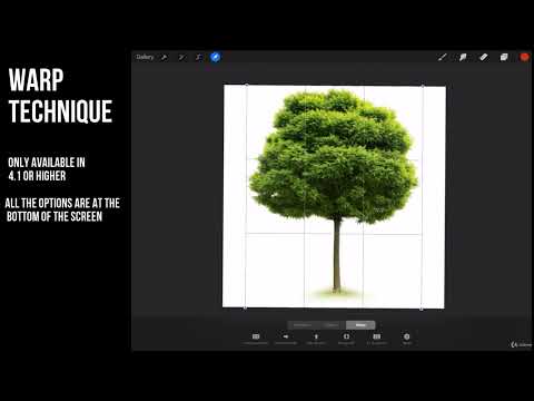 Procreate 4.1 update  Warp Technique #procreate