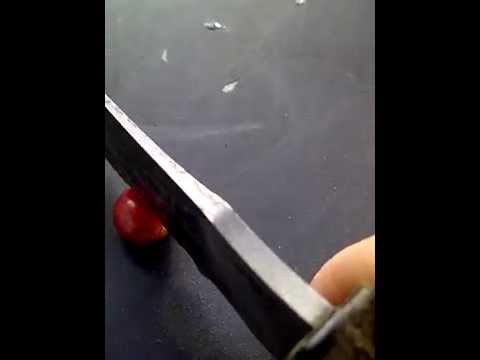 Download Opening a Coffee Cherry to Find the Coffee Beans - YouTube