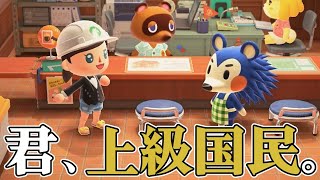 どうぶつの森　傷 mqdefault.jpg