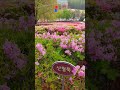 군포 철쭉동산 2023년 4월 17일 주말에서 다음주쯤 만개기대 #travel #철쭉동산 #군포