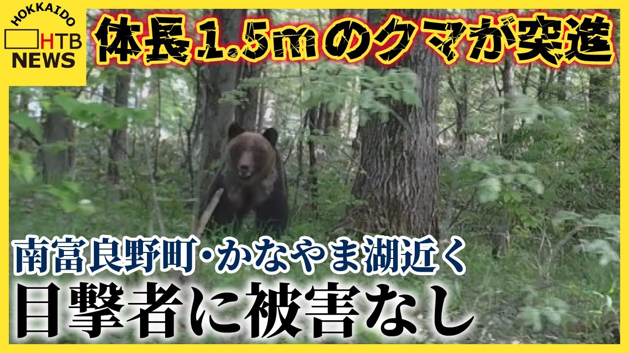北海道・南富良野町のかなやま湖近くで体長1.5mのクマが突進！「怖かっ