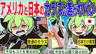 日本のカラスが賢すぎる！？日本のカラスと海外のカラスの頭脳差がレベチな件www【ずんだもん＆ゆっくり解説】