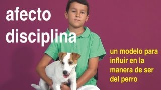 &quot;Afecto y disciplina&quot;. Cómo influir en la manera de ser del perro