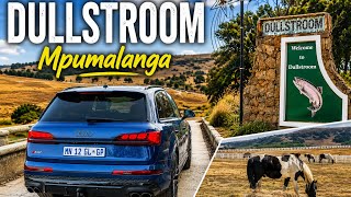 Road Trip To Dullstroom Mpumalanga in the 2026 Audi SQ7 Black Edition 