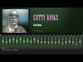 Cutty Ranks Cool Down 795 Riddim HD mp3