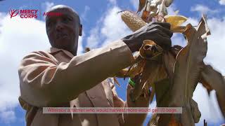 Revolutionizing Agriculture From Traditional Methods To Climate-Smart Farming