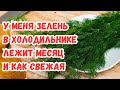 Зелень в холодильнике лежит месяц и как свежая: как я её храню без стакана с водой. Простой способ