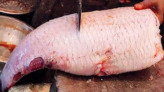 Big Rohu Fish Cutting Skills in Bangladeshi Fish Market | Amazing Fish Cutting Video