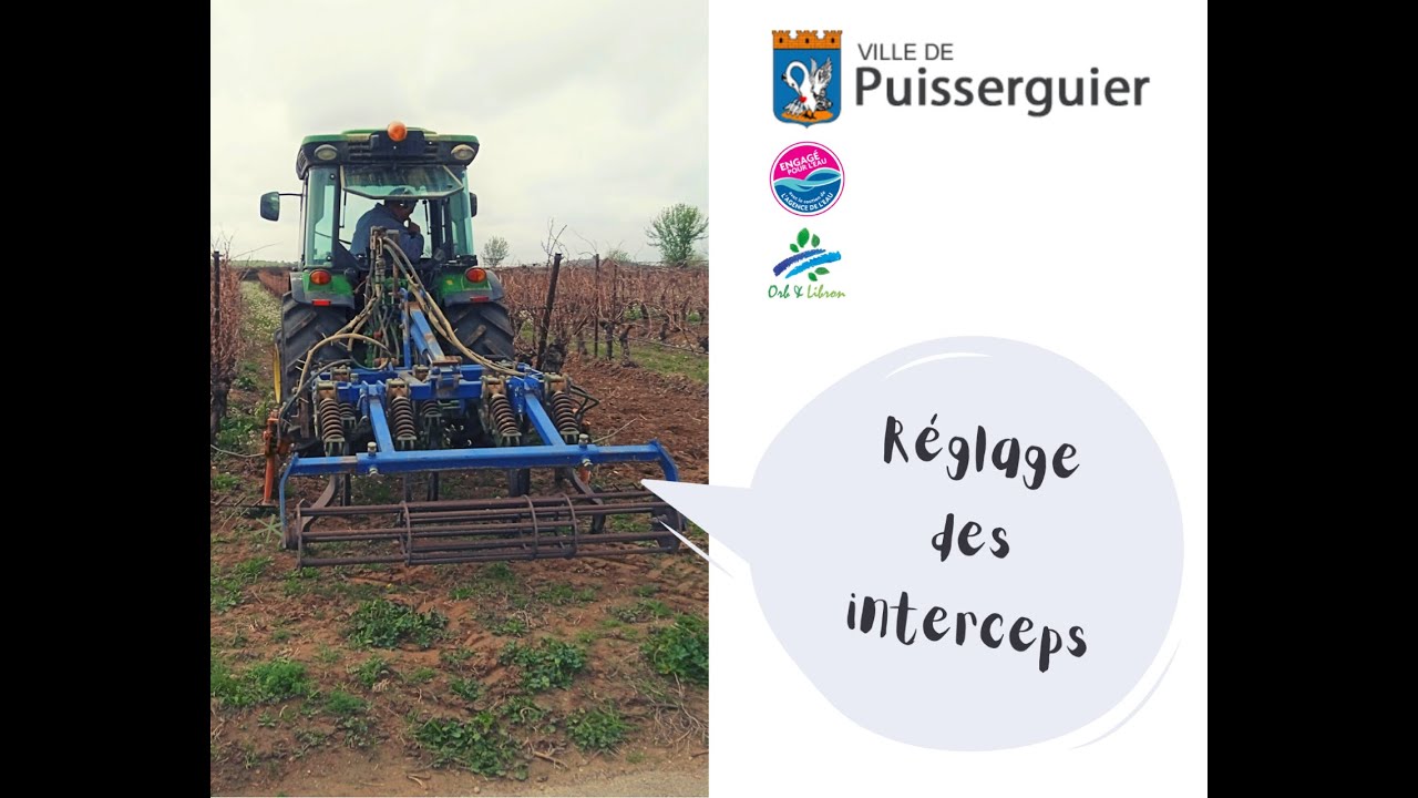 Réglage de l'outil interceps à Puisserguier, les principaux points de contrôle