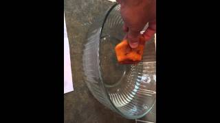 Amber floating in salt water test
