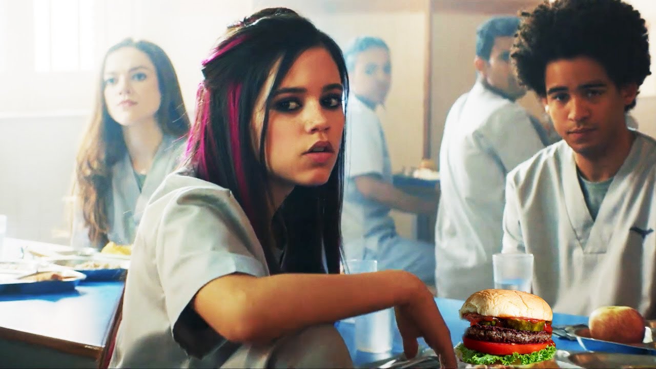 An Burger ei hi MIHRING SA hmanga siam a ni | Thalai rual an lo tar thut mai!