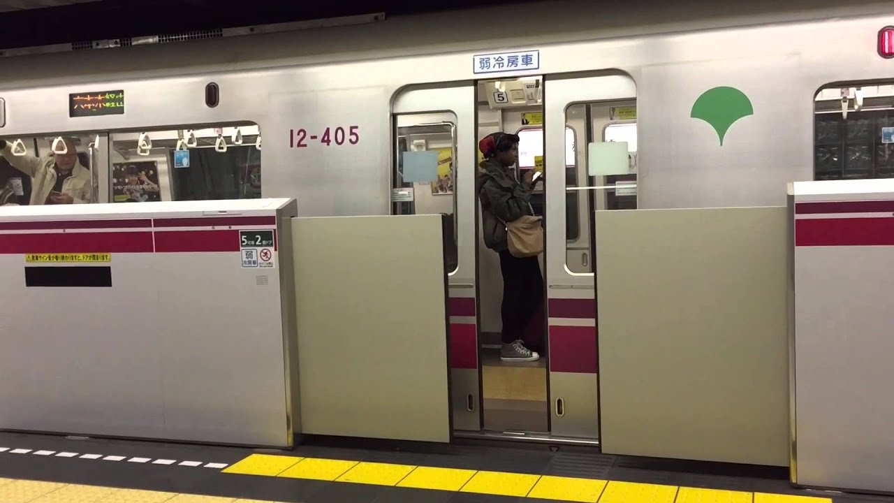 Crazy train doors in Tokyo