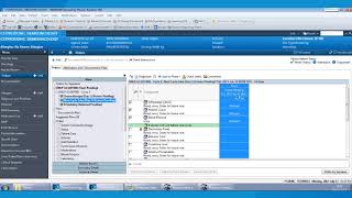 Chemotherapy Ordering and Scheduling Demo