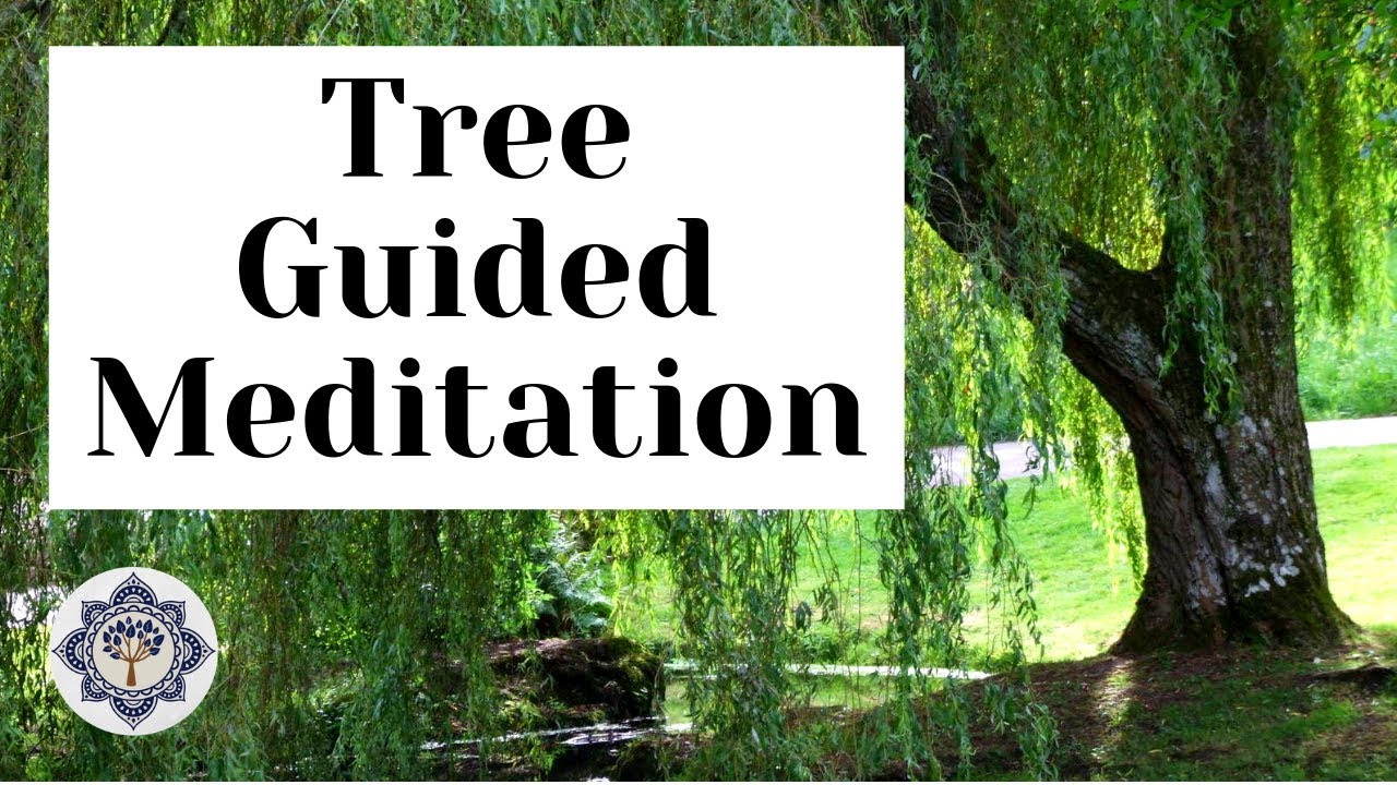 TREE GUIDED MEDITATION| Stress Relief and Relaxation - YouTube