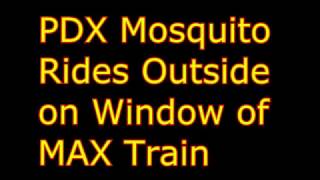 Mosquito Rides on the outside of windo on MAX Train