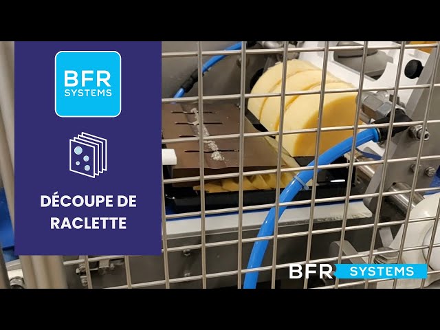Machine de découpe de fromage rond portions - ERMA 30F - BFR Systems