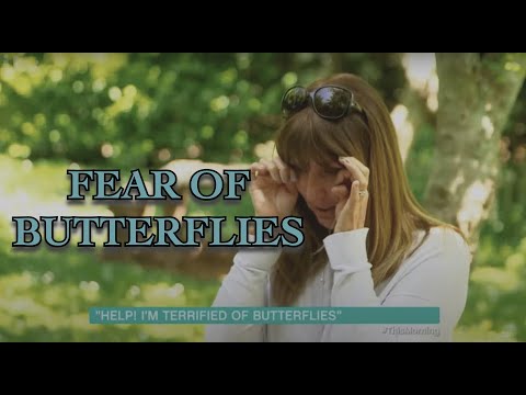Overcoming A Butterfly & Moth Phobia I The Speakmans