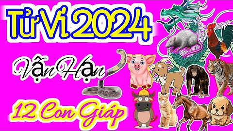 Vận Hạn của 12 Con Giáp trong năm 2024 chi tiết - Vận Hạn 2024 #vận #hạn #năm2024