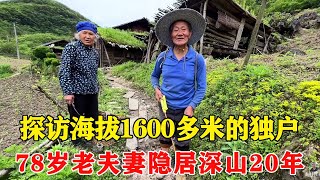 探访海拔1600多米的独户人家，78岁老夫妻嫌城里开销太大，独居大山种地养牛20多年！【乡村阿泰】