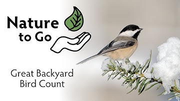 Nature to Go | Great Backyard Bird Count