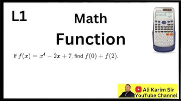 L1 Function Math