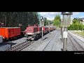 Gartenbahn 2020 by Harzbahner