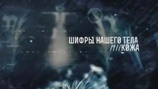 ШИФРЫ НАШЕГО ТЕЛА КОЖА документальный фильм ШИФРЫ НАШЕГО ТЕЛА КОЖА документальный фильм