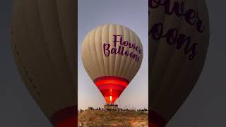 Hot air balloon trip