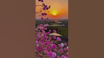 لا تدري لعل الله يحدث بعد ذلك أمرا | القارئ فارس عباد سورة الطلاق