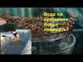 Крещение.  Когда набирать крещенскую воду!?