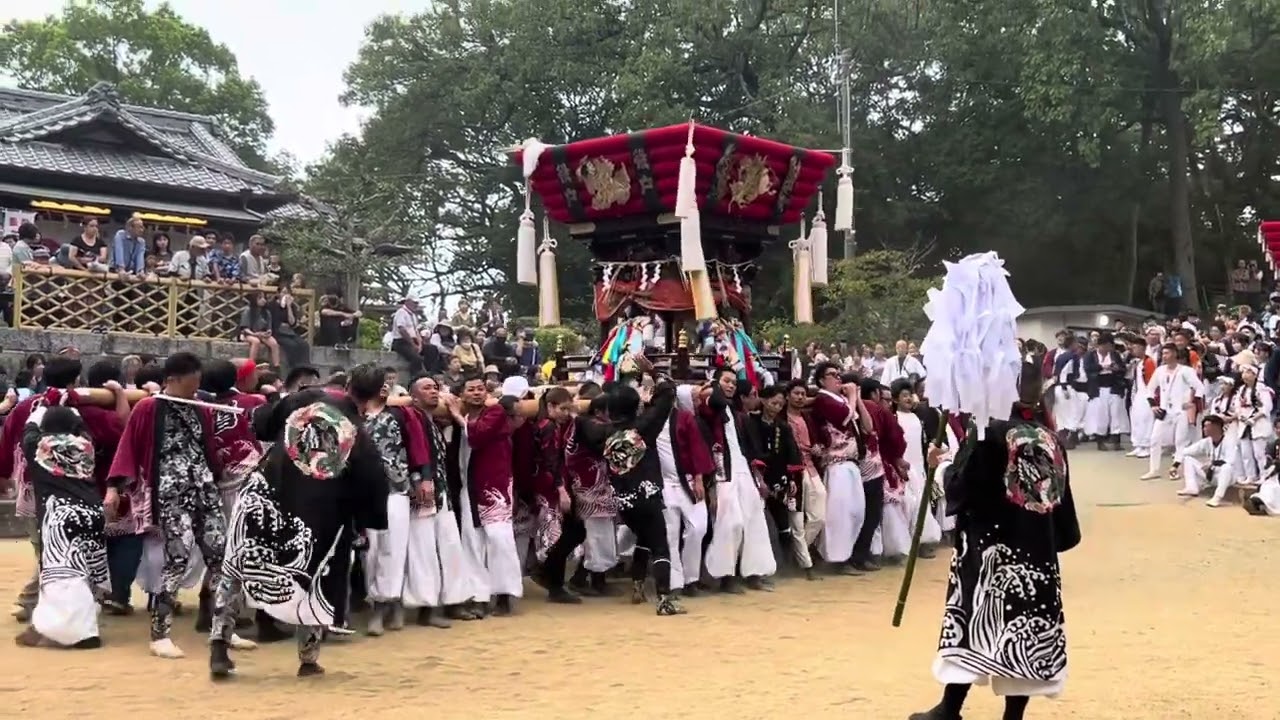 白羽神社秋祭り　役戸太鼓台　2025/10/12