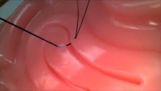 Laparoscopic simulator with USB endoscopic camera