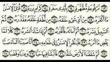 سورة عبسى للقارئ زكي داغستاني