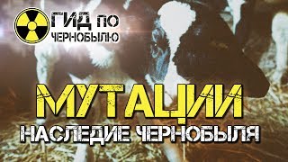 Мутации - наследие Чернобыля!