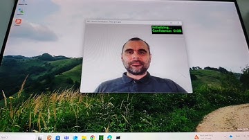 Playing with Axelera Metis Classification on Windows with Voyager SDK in July 2025