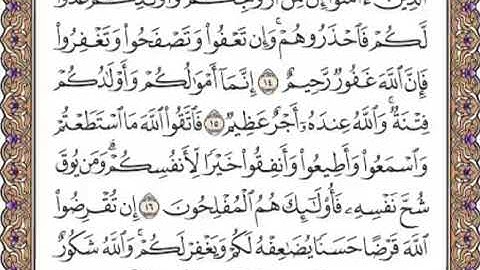 القرآن الكريم صفحة 557