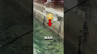 This man rescue the little cat #rescuecat