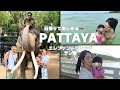 【vlog】バンコクから日帰りパタヤ🇹🇭エレファントビレッジ〜離島ラン島🏝️