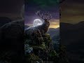 The Druid of the Second Sun | Celtic Music