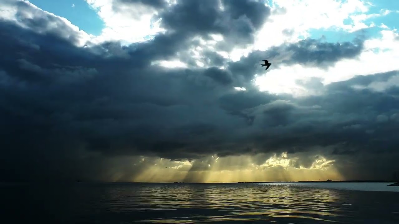 [FREE FOR PROFIT] CHH Type Beat Dec 10