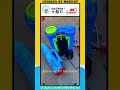 Battery Operated Knapsack Power Sprayer