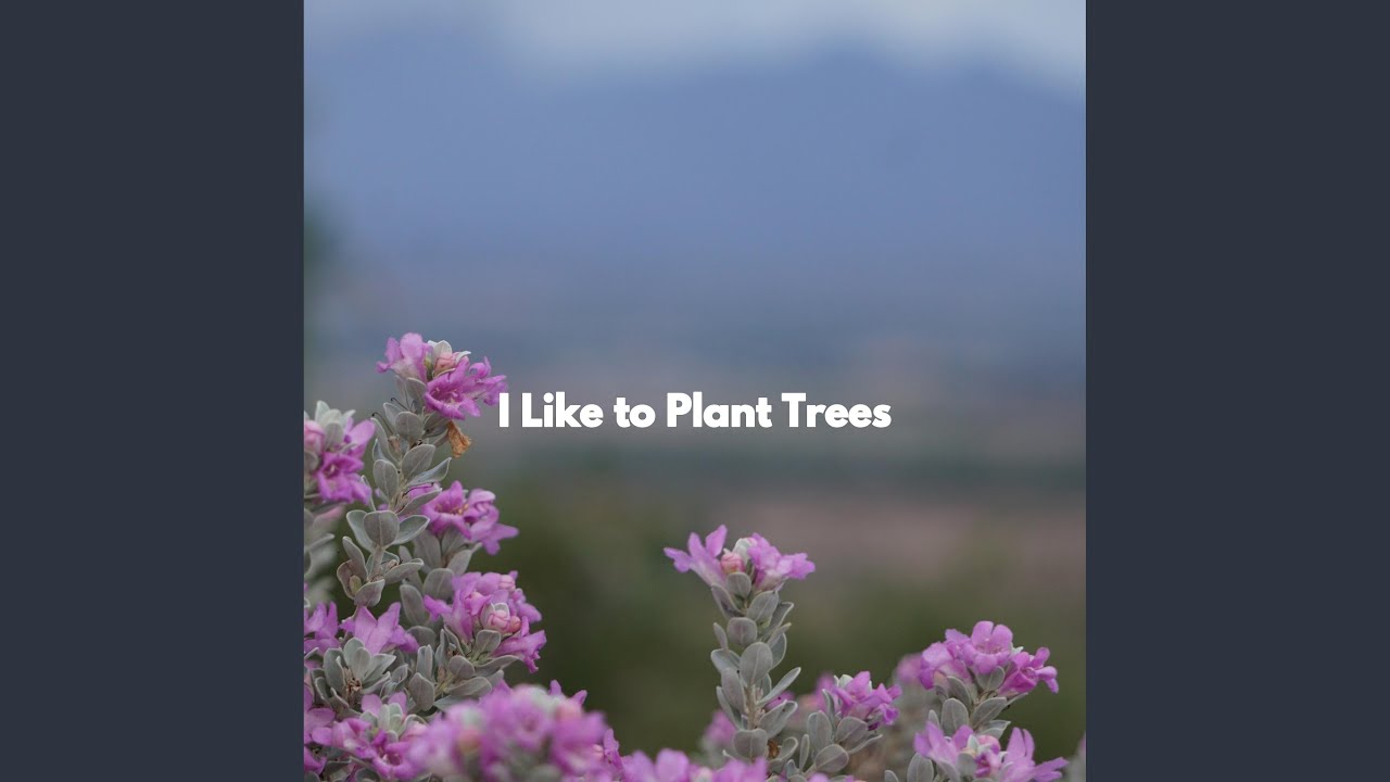 Atmospheric Moods for Golden Yearning