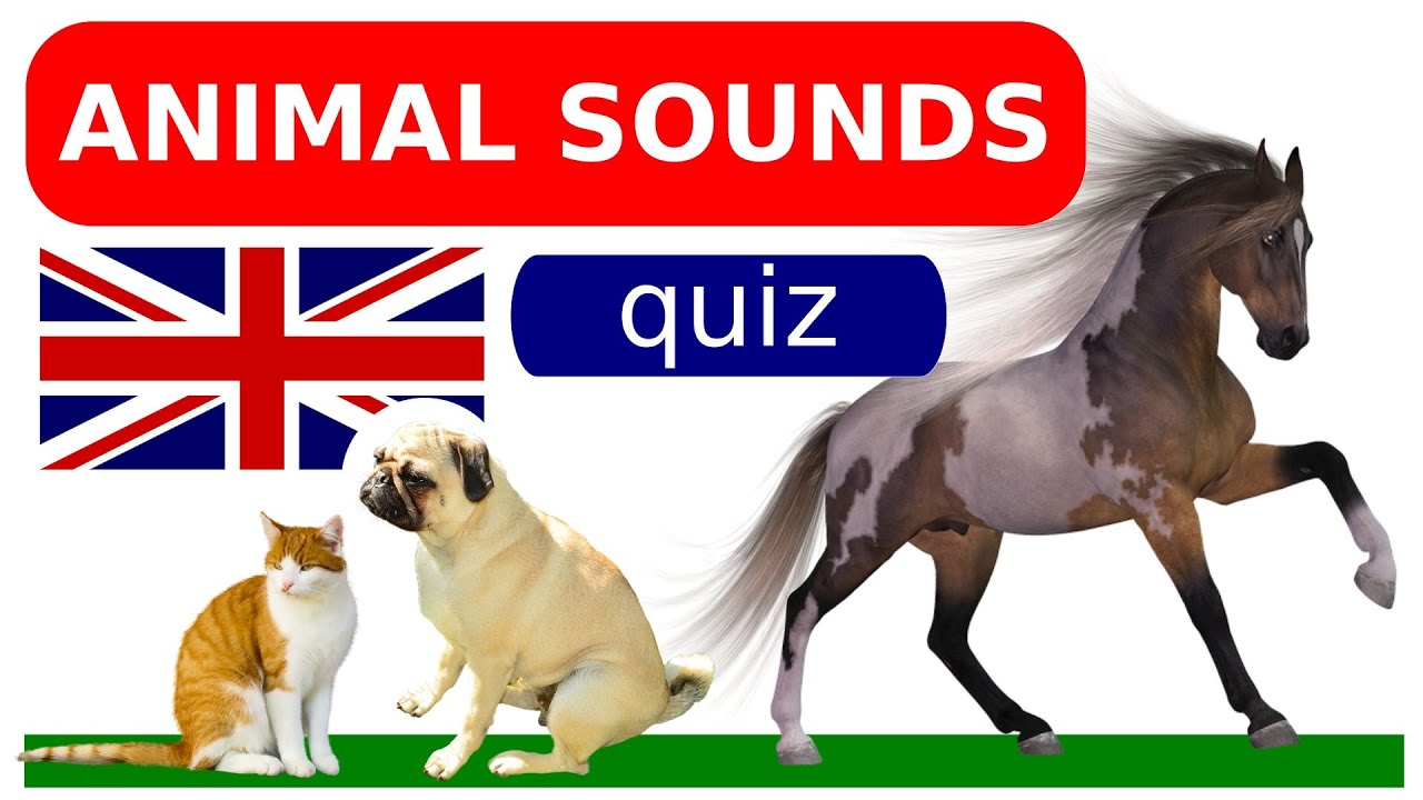 Animal Names and Sounds For Children To Learn BEST Animal Names and Sounds For Children To Learn BEST