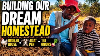 We’re Finally Settling In… Building Our Dream Homestead One Day at a Time! 🇿🇼🌱🐔