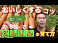 #7.ニンジンの育て方【プランター栽培】水やり、追肥、間引きのタイミング！【家庭菜園】