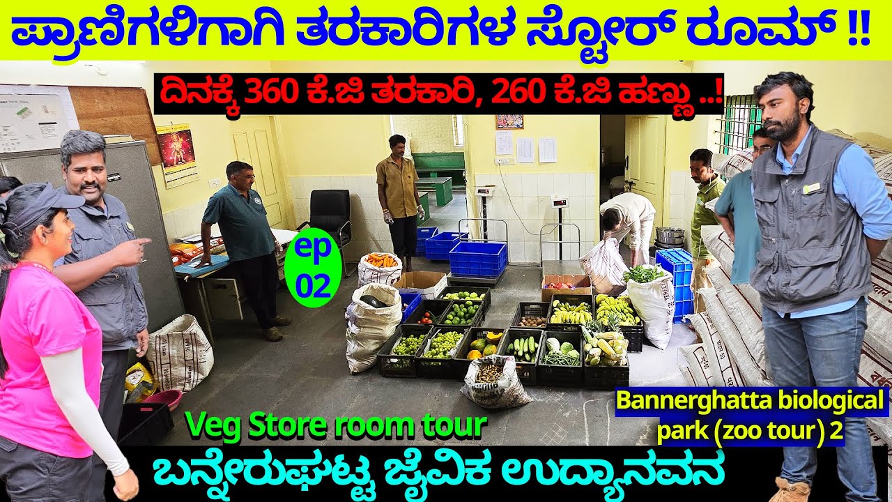 Animal Diet Food Plan-ದಿನಕ್ಕೆ 360 KG ತರಕಾರಿ, 360 KG ಹಣ್ಣು-BANNERGHATTA ZOO Animals Veg Kitchen Tour2